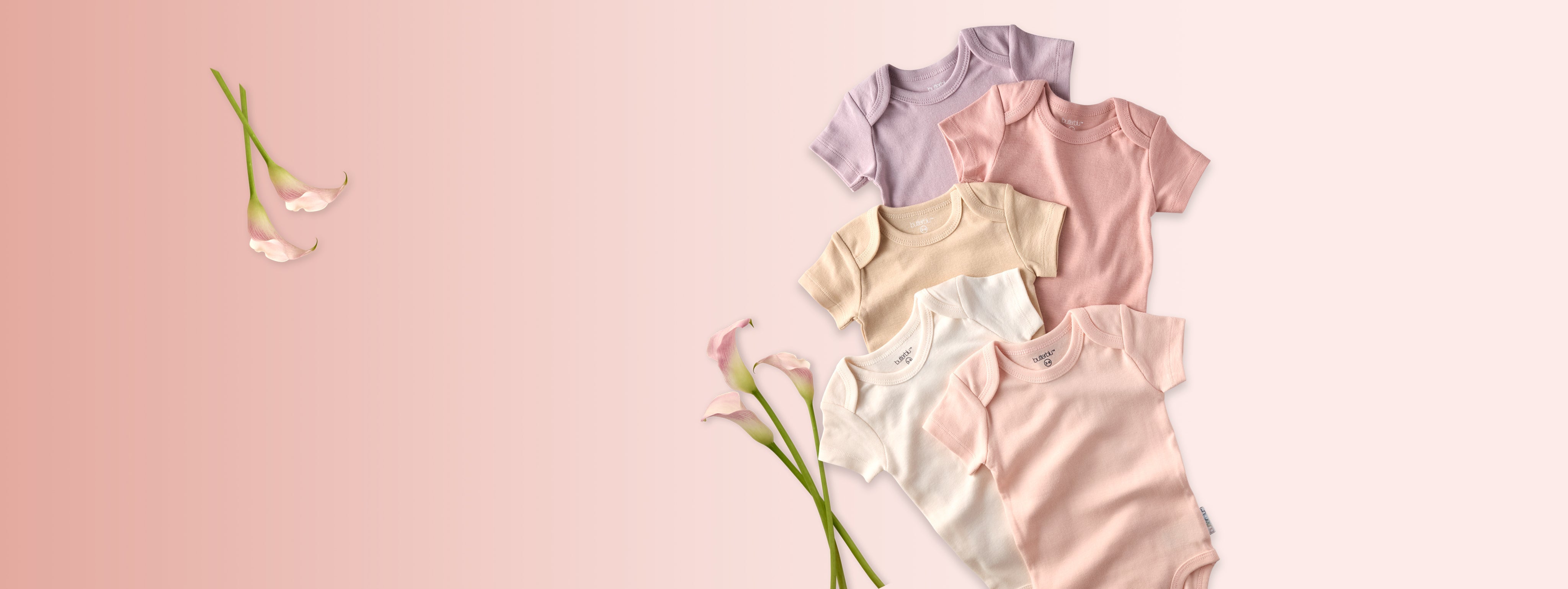 Sorbet