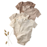 Set of five baby bodysuits in beige, brown, and white on a white background with dried plants.