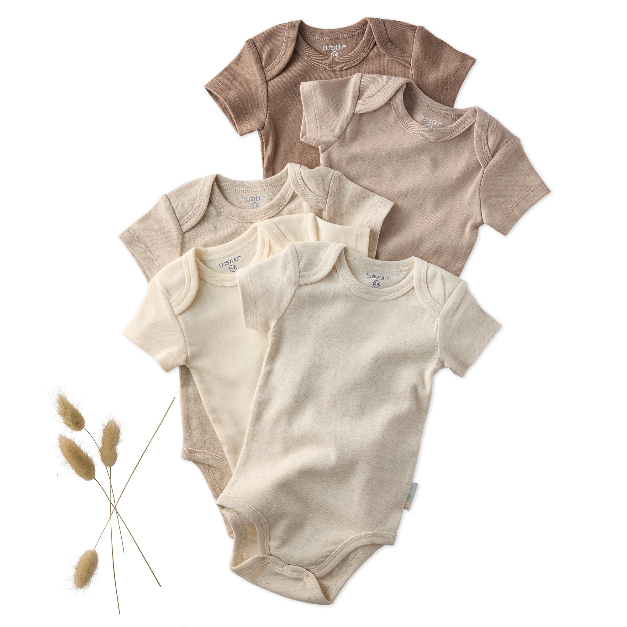 Set of five baby bodysuits in beige, brown, and white on a white background with dried plants.