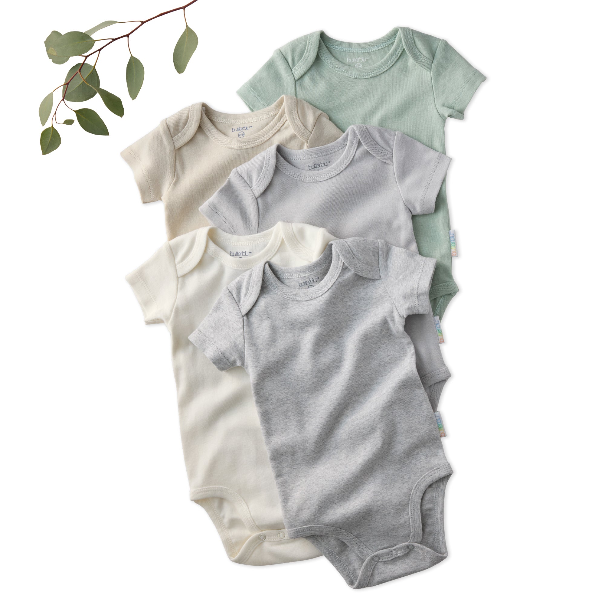 Five baby bodysuits in beige, green, white, and gray on a white background with a branch of leaves.