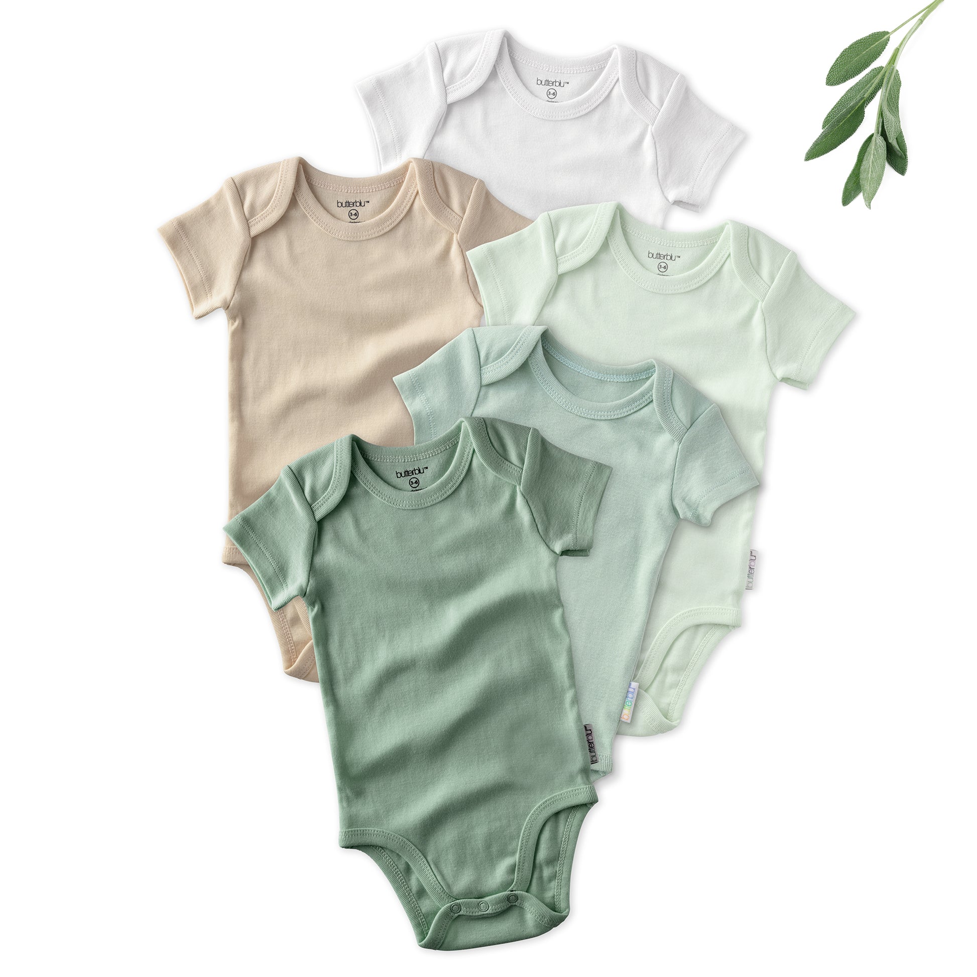 Layout of 5 short sleeve bodysuits in Sage on a white background with a leaf detail
