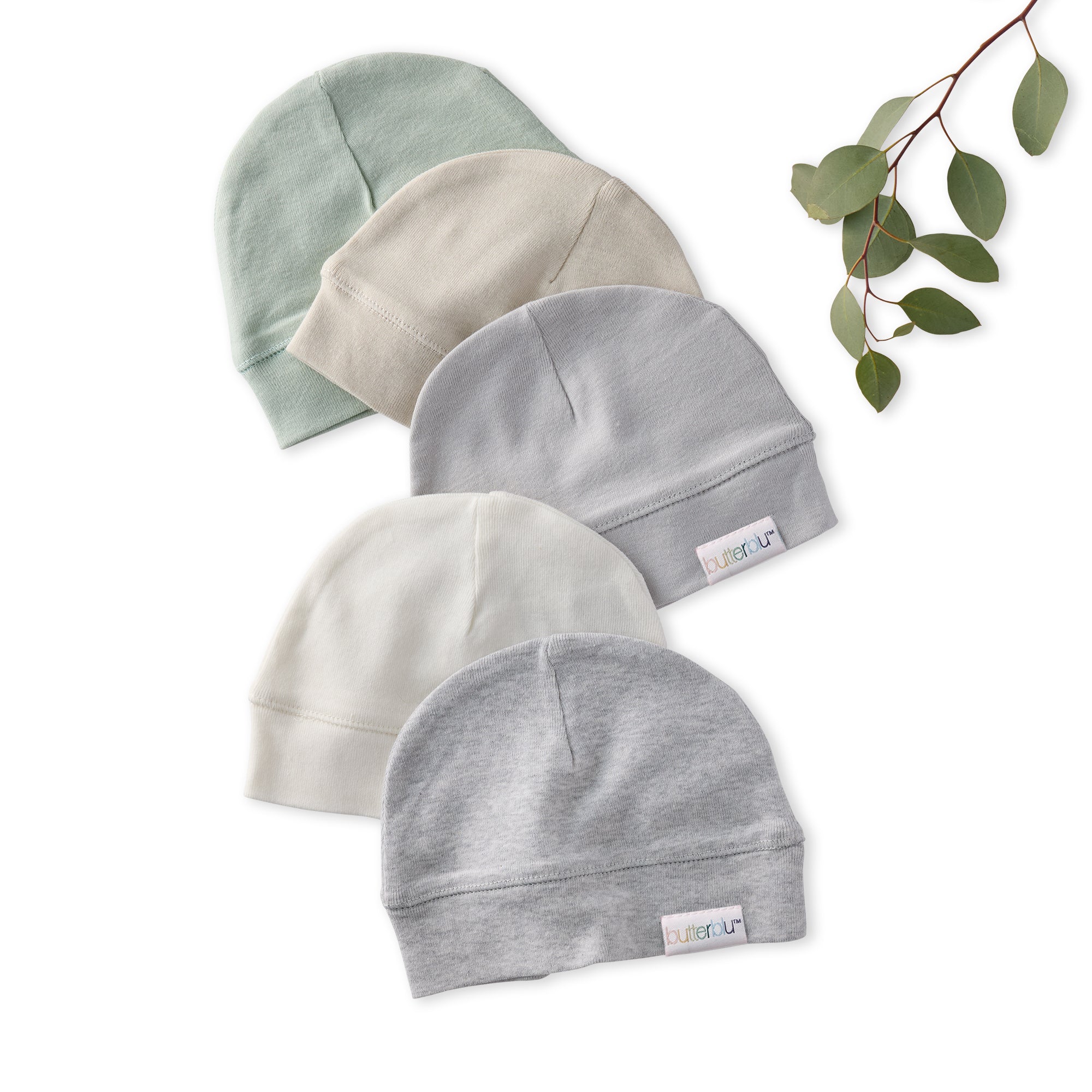 Five baby hats in various shades of gray and green on a white background with a branch of leaves.