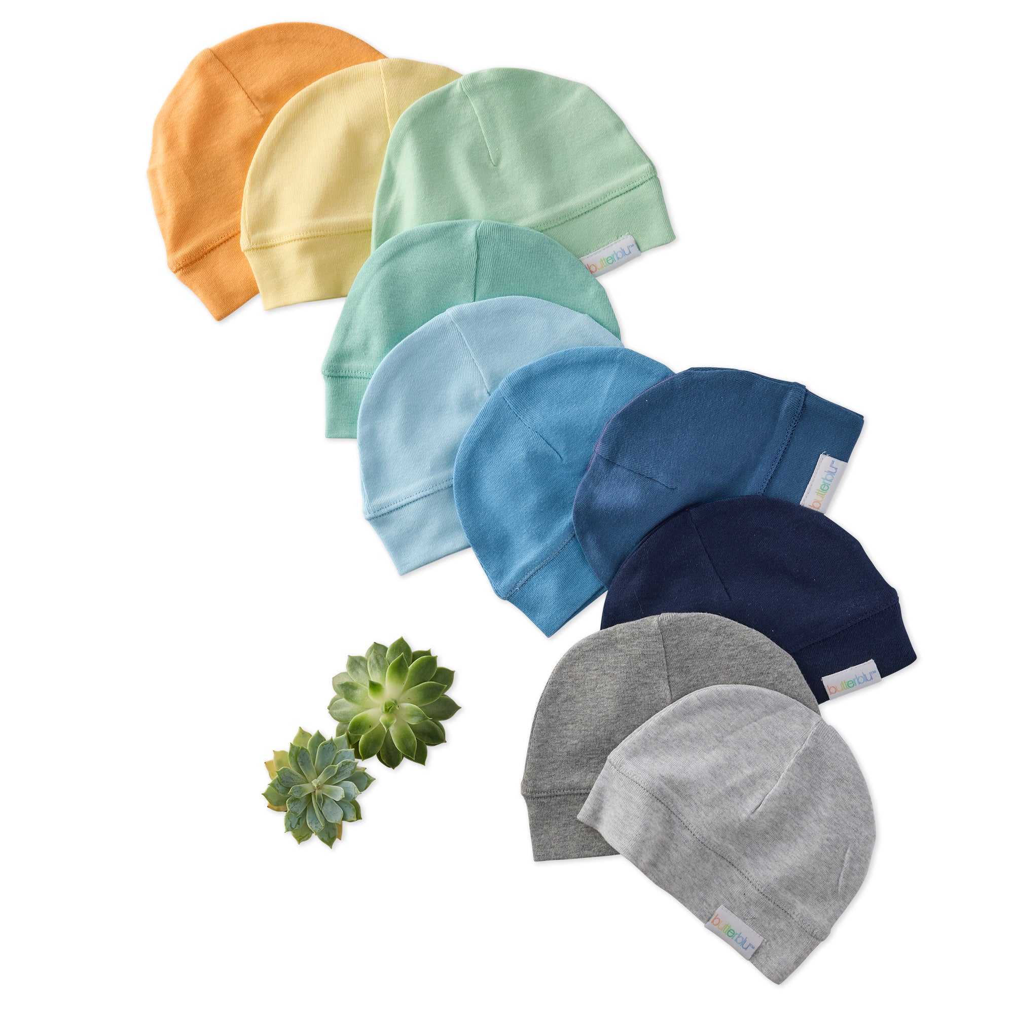 Set of colorful baby hats arranged in a row on a white background with a small succulent plant.