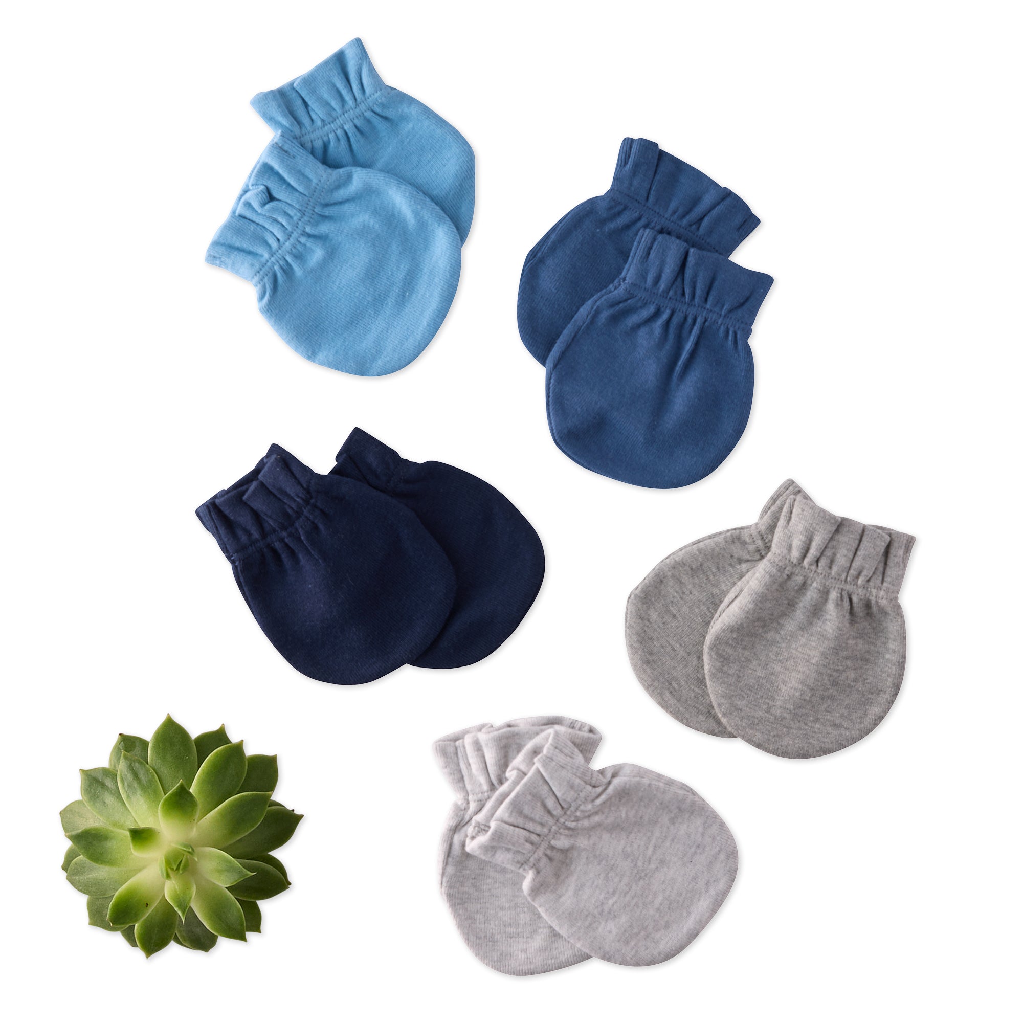 Set of blue, navy, and gray baby mittens with a succulent plant on a white background
