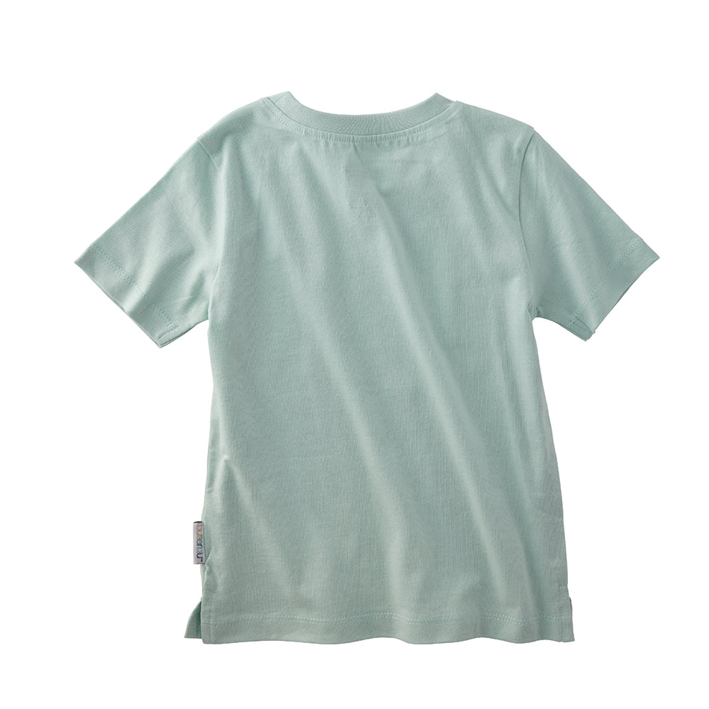 Butterblu Taylor 10-pack toddler short sleeve t-shirts in Seafoam Terra Rainbow — GOTS-certified organic cotton toddler tees