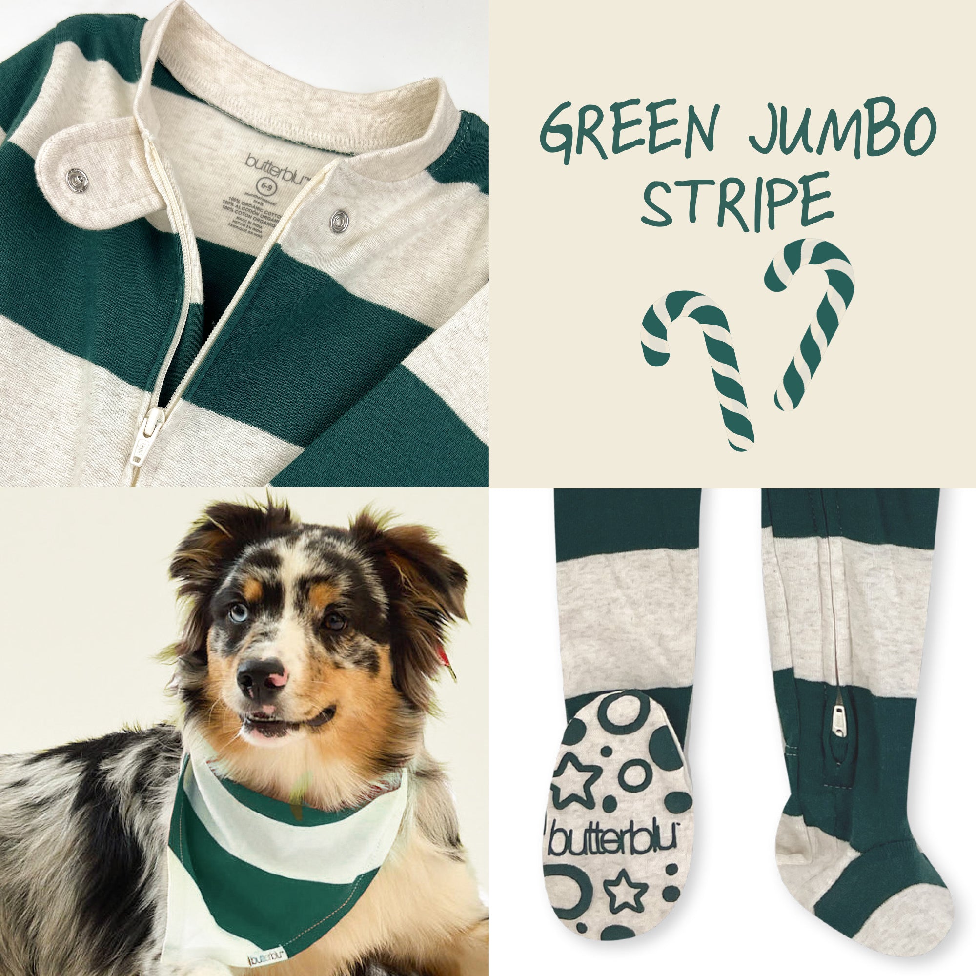 Collage of a dog wearing a green and gray striped outfit with 'butterbu' branding, surrounded by green jumbo stripe pattern and socks.