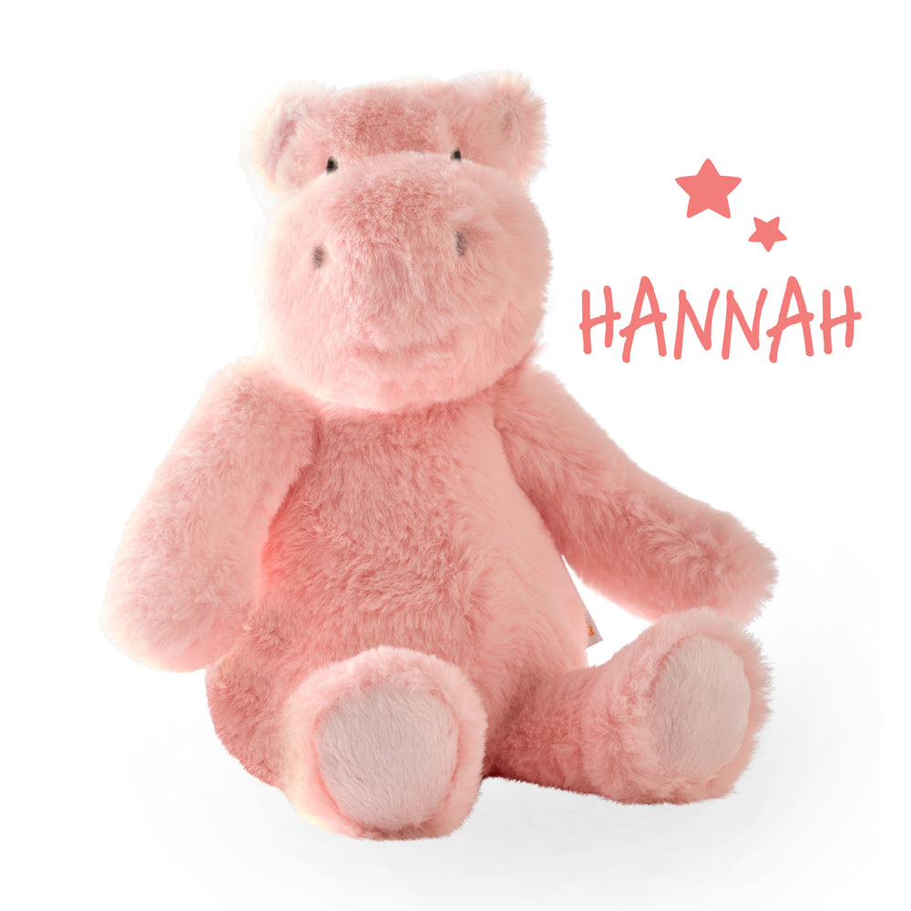 Pink teddy bear with 'HANNAH' text and stars on a white background