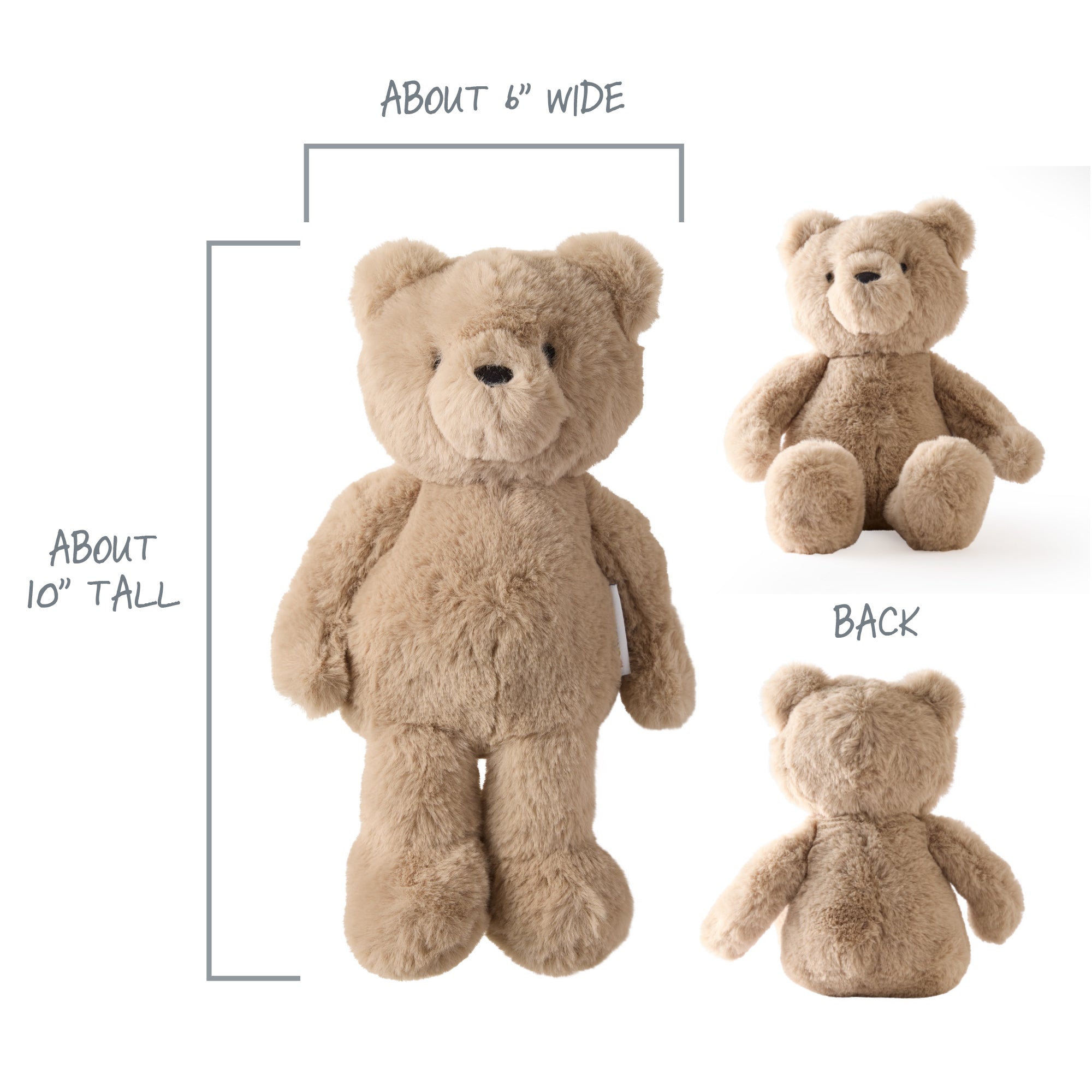 Beige teddy bear with measurements and views on a white background