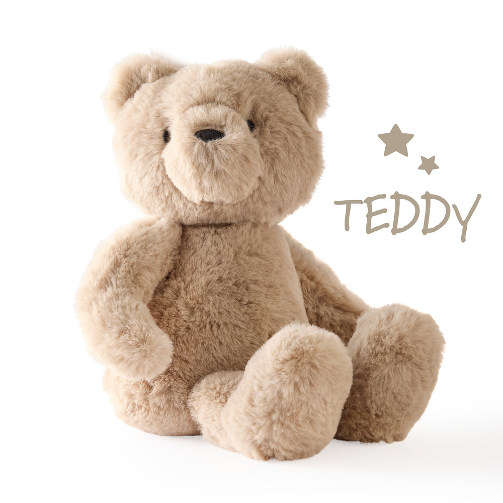 Plush teddy bear on a white background with 'TEDDY' text and star graphics.