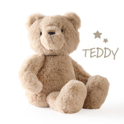 Plush teddy bear on a white background with 'TEDDY' text and star graphics.