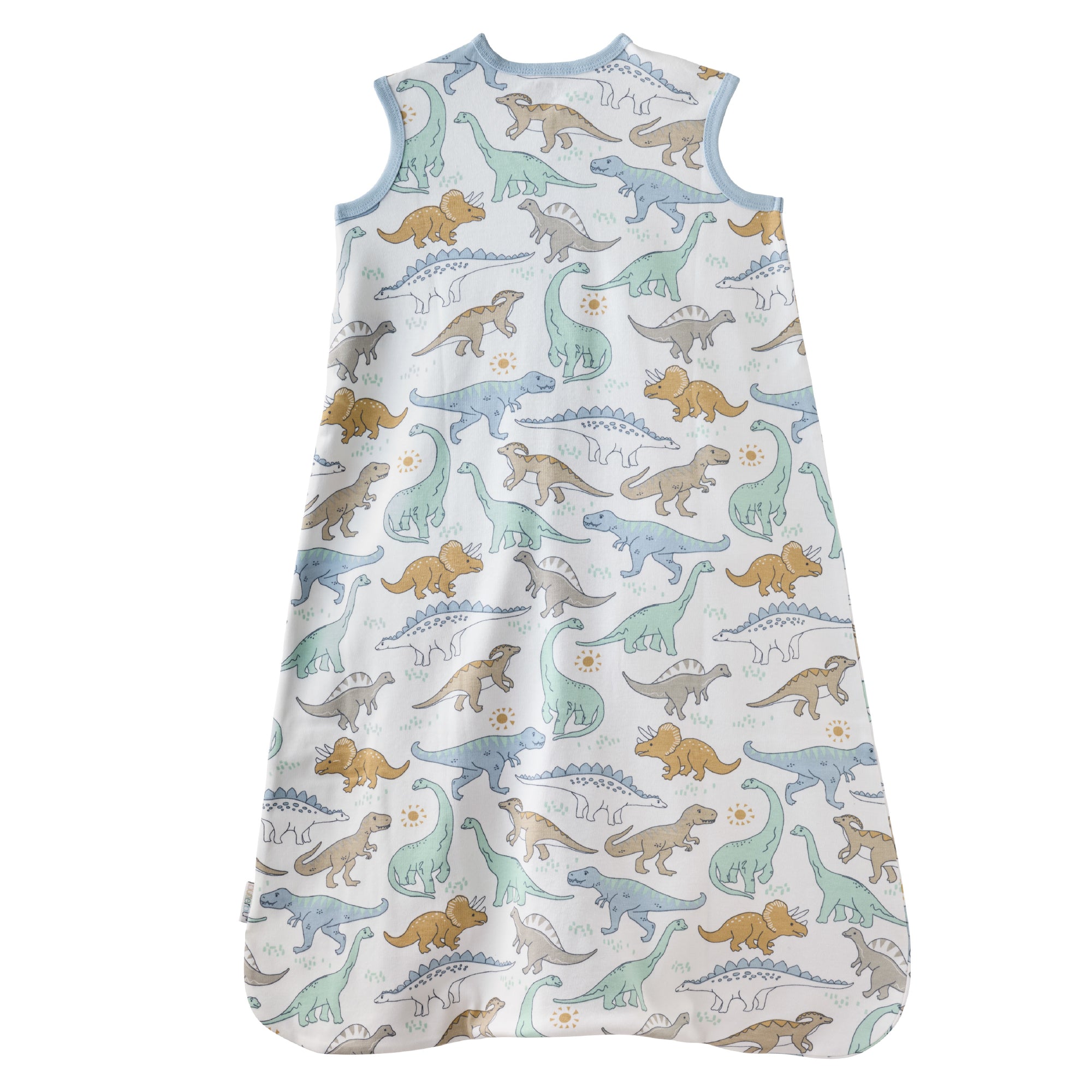 Baby sleeping bag with dinosaur pattern on a white background