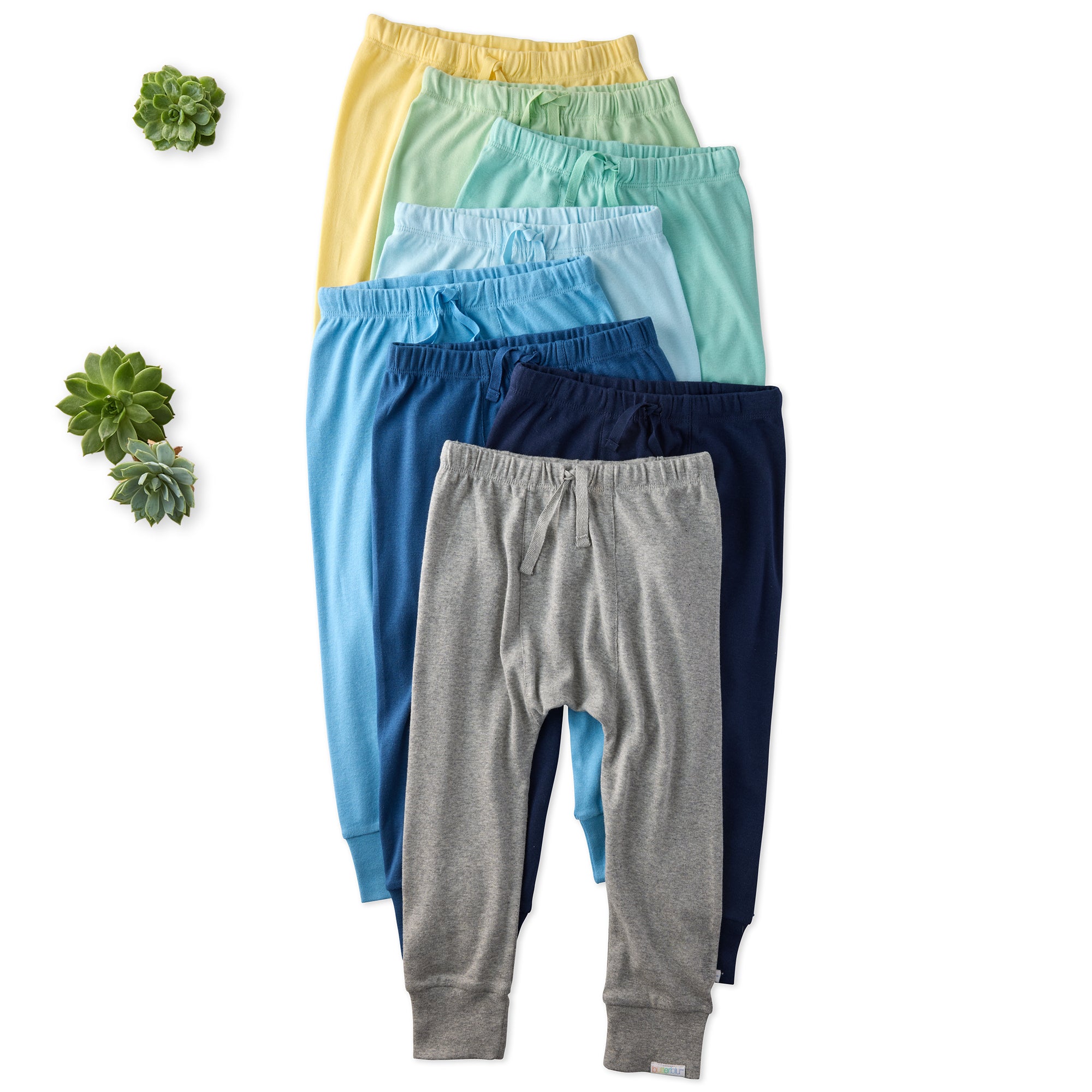Set of colorful jogger pants on a white background with small plants.