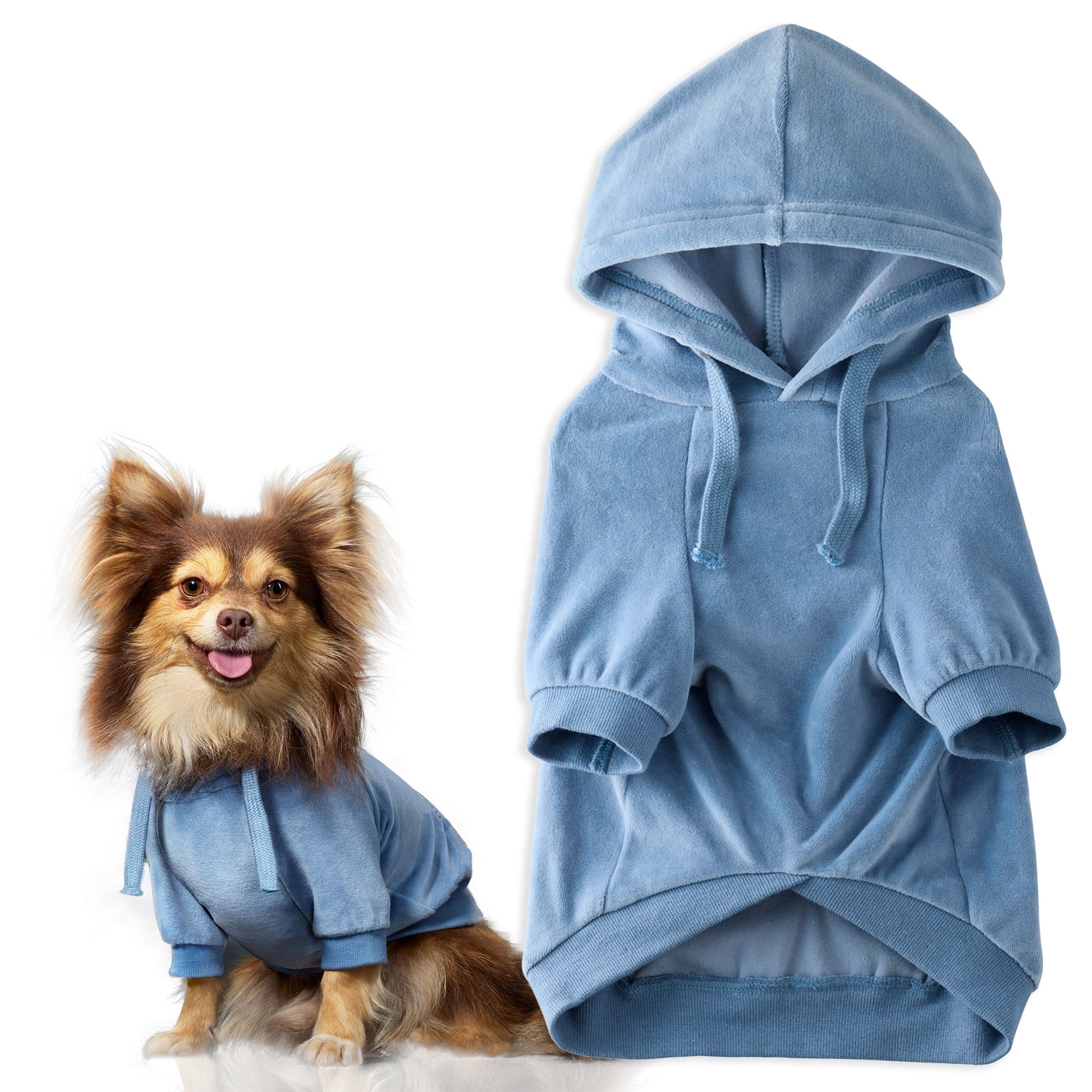 Pet Passion Cooper II cozy velour dog hoodie in Faded Denim — soft organic cotton velour sweatshirt for small to large dogs