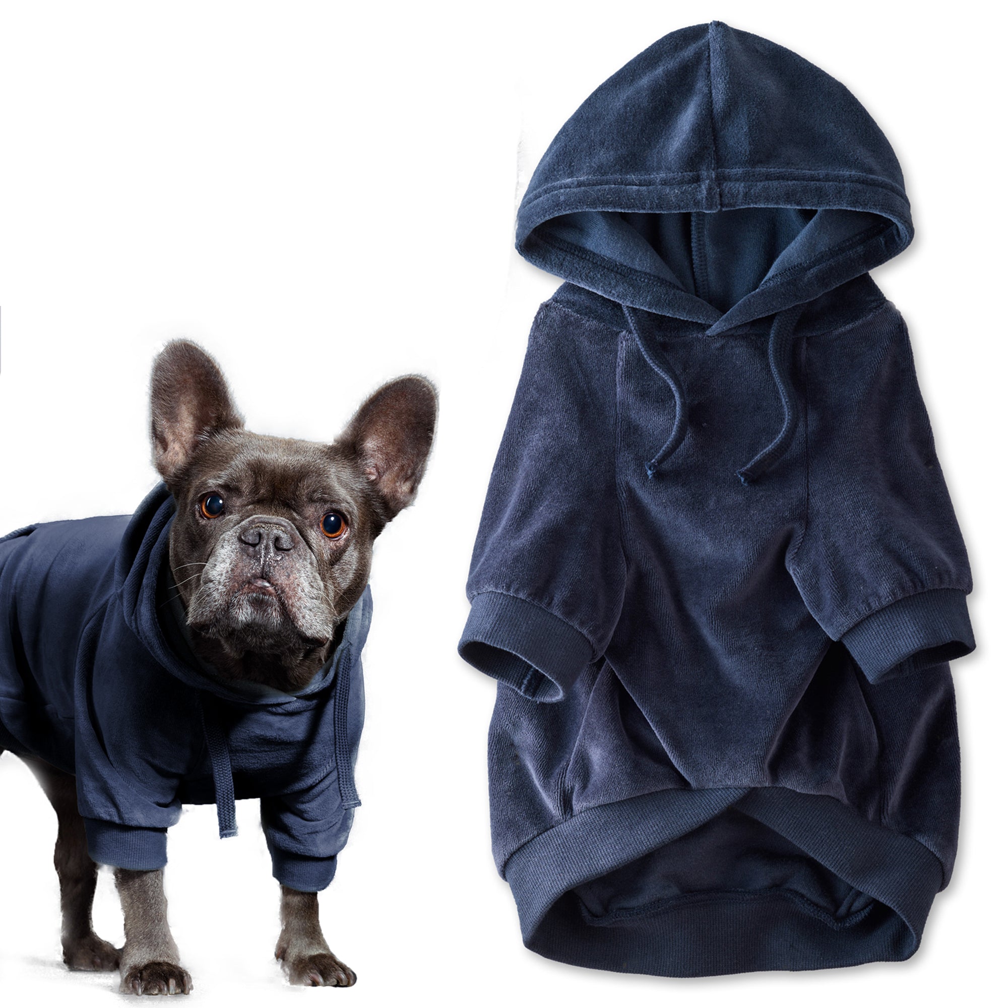 Pet Passion Cooper II cozy velour dog hoodie in Navy — soft organic cotton velour sweatshirt for small to large dogs