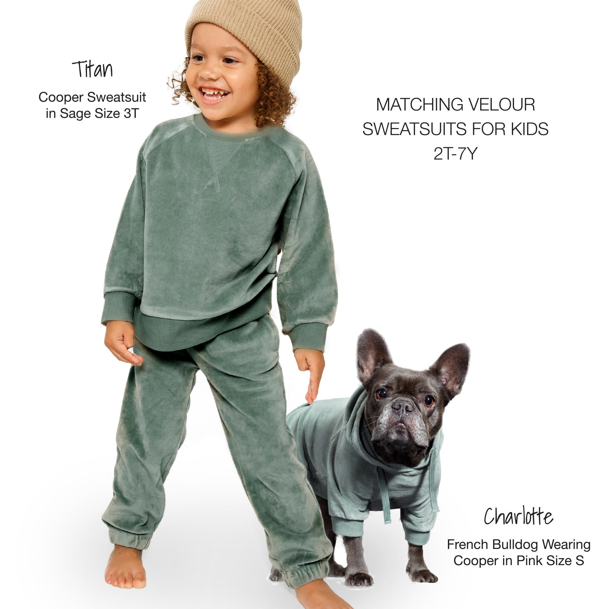 Pet Passion Cooper II cozy velour dog hoodie in Sage — soft organic cotton velour sweatshirt for small to large dogs