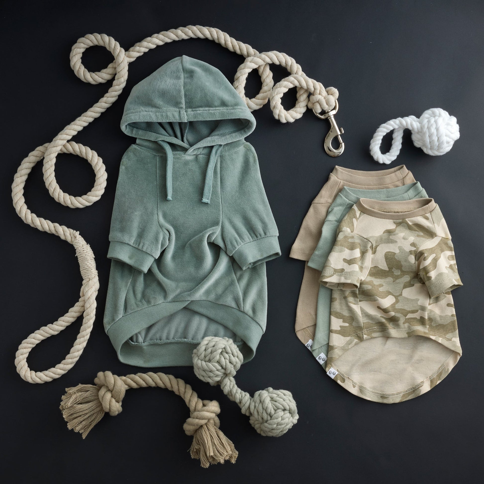 Pet Passion Cooper II cozy velour dog hoodie in Sage — soft organic cotton velour sweatshirt for small to large dogs