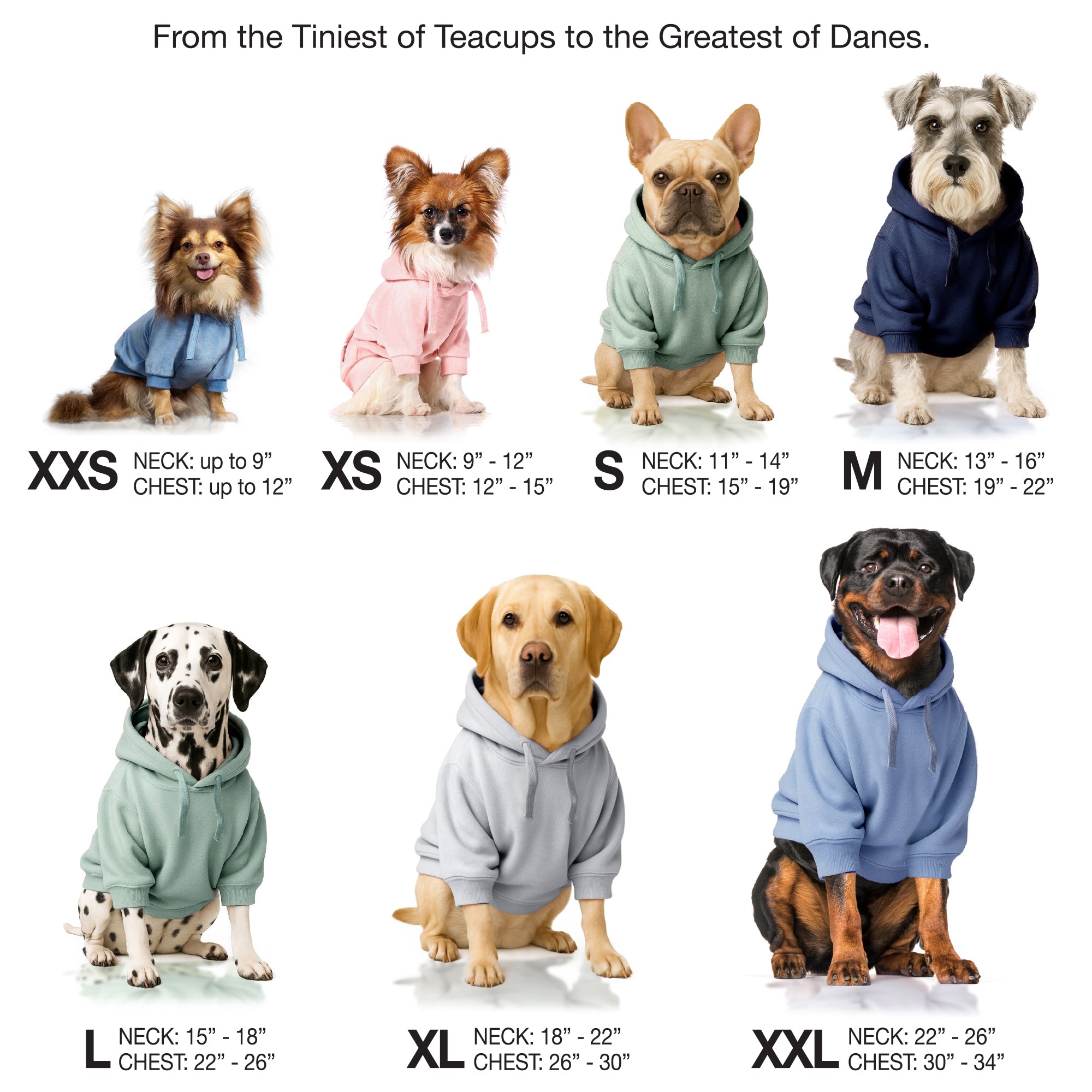 Pet Passion Cooper II cozy velour dog hoodie in Sage — soft organic cotton velour sweatshirt for small to large dogs