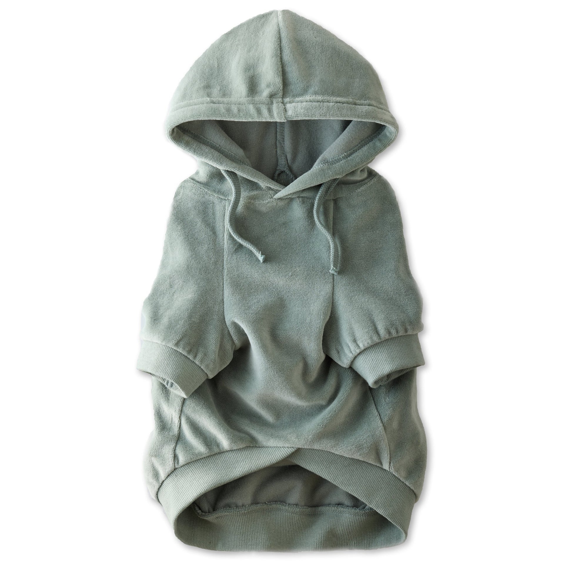 Pet Passion Cooper II cozy velour dog hoodie in Sage — soft organic cotton velour sweatshirt for small to large dogs
