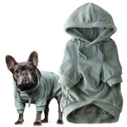 Pet Passion Cooper II cozy velour dog hoodie in Sage — soft organic cotton velour sweatshirt for small to large dogs