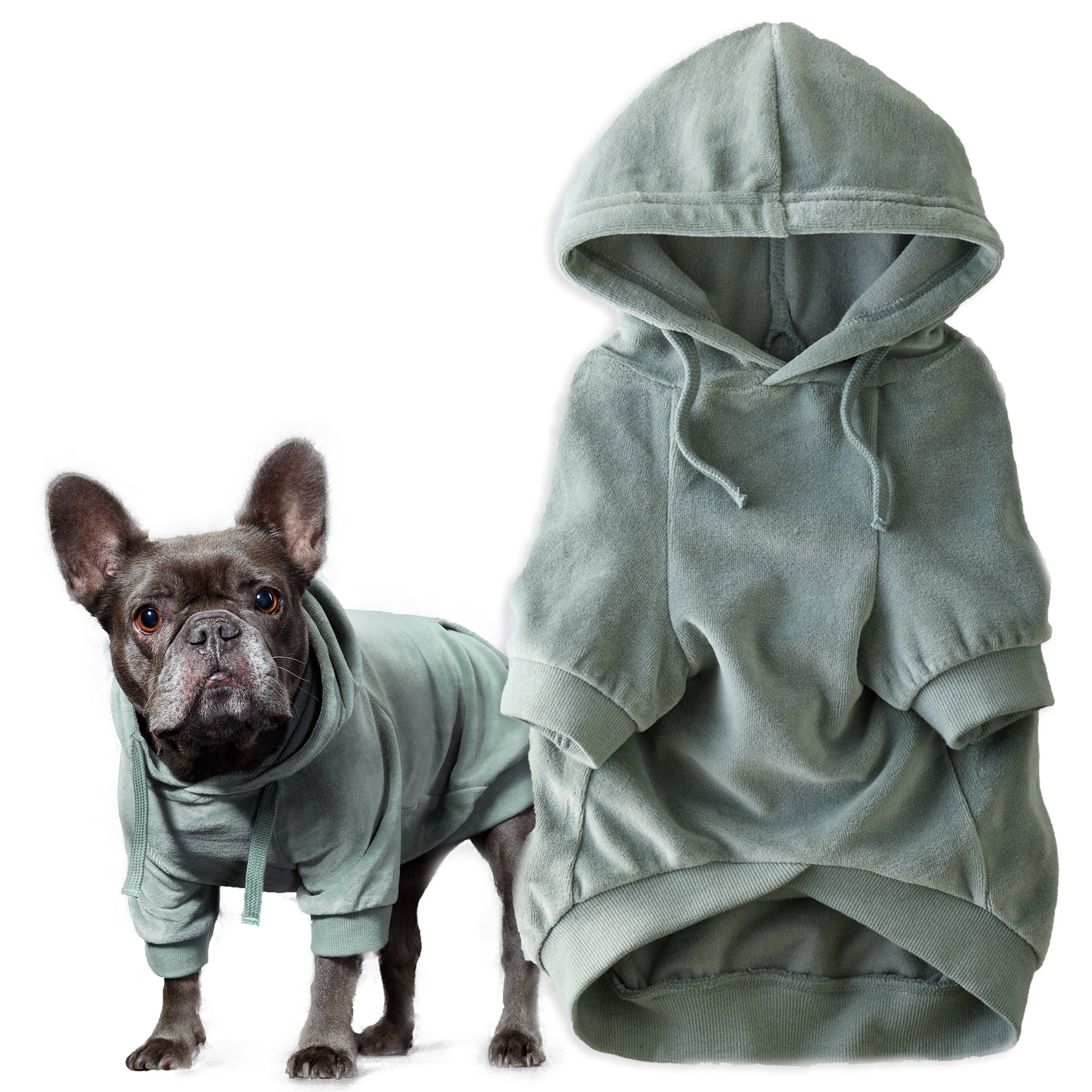 Pet Passion Cooper II cozy velour dog hoodie in Sage — soft organic cotton velour sweatshirt for small to large dogs